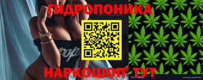спиды Комсомольск-на-Амуре